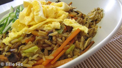 nasigoreng2